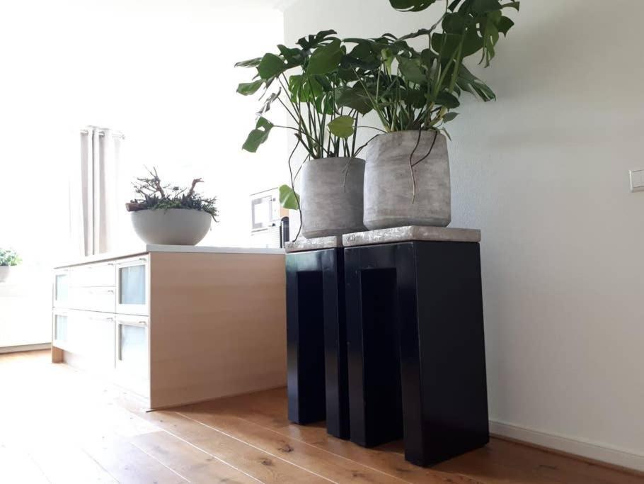 In The Old City Centre Of Edam, Unique Apartment. Bagian luar foto